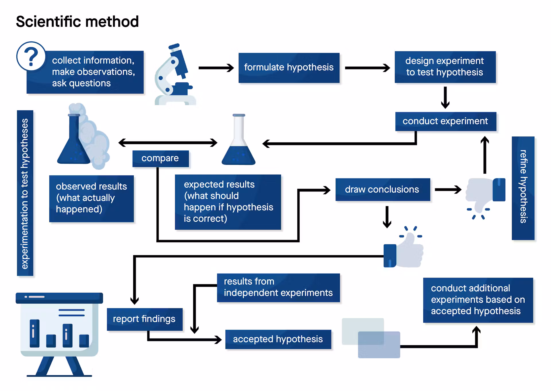 02cdd14e-c553-4524-8db9-928620943d70_Scientific+Method+Complex+-+Infographic-01
