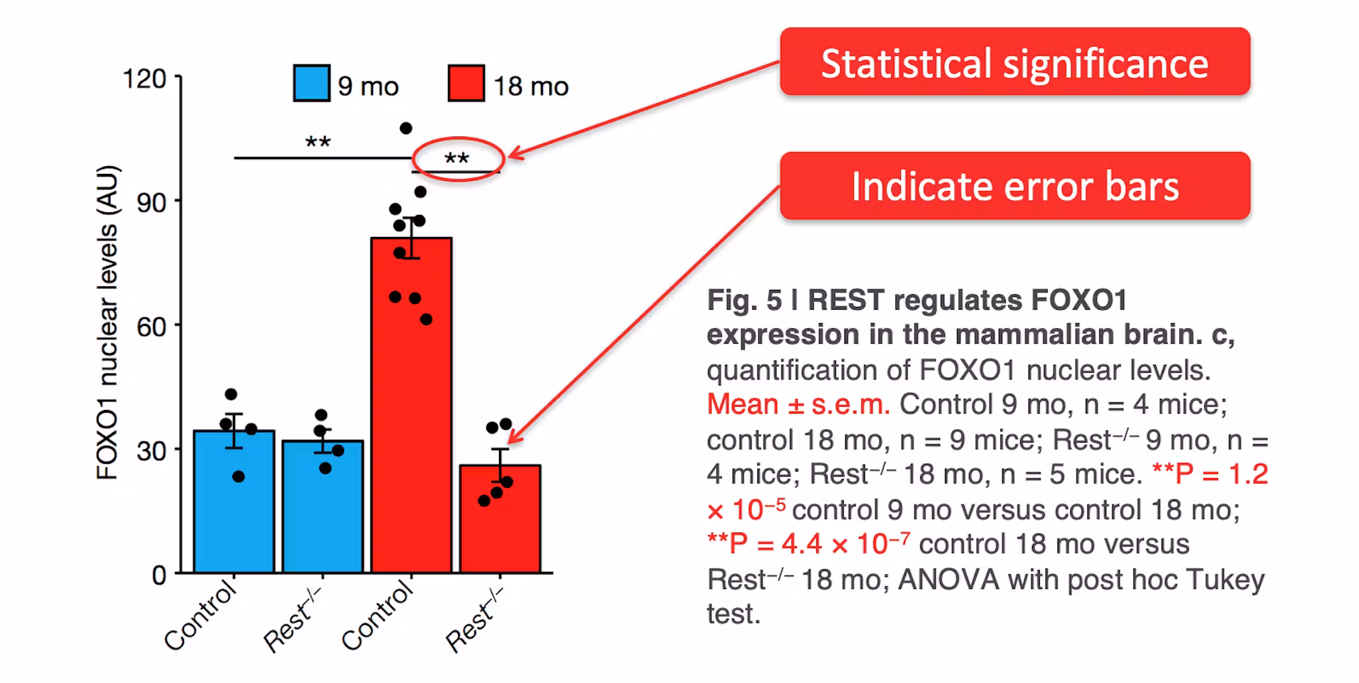 6cb9f4d7-b455-441b-9977-02d2502738ef_creating-effective-figures-for--academic-paper-graph1 (1)