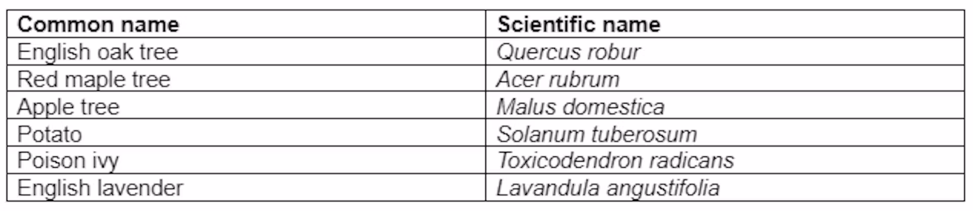 common-scientific-plant-names